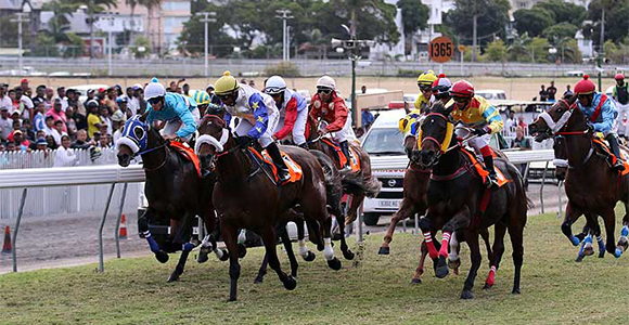 horse-racing